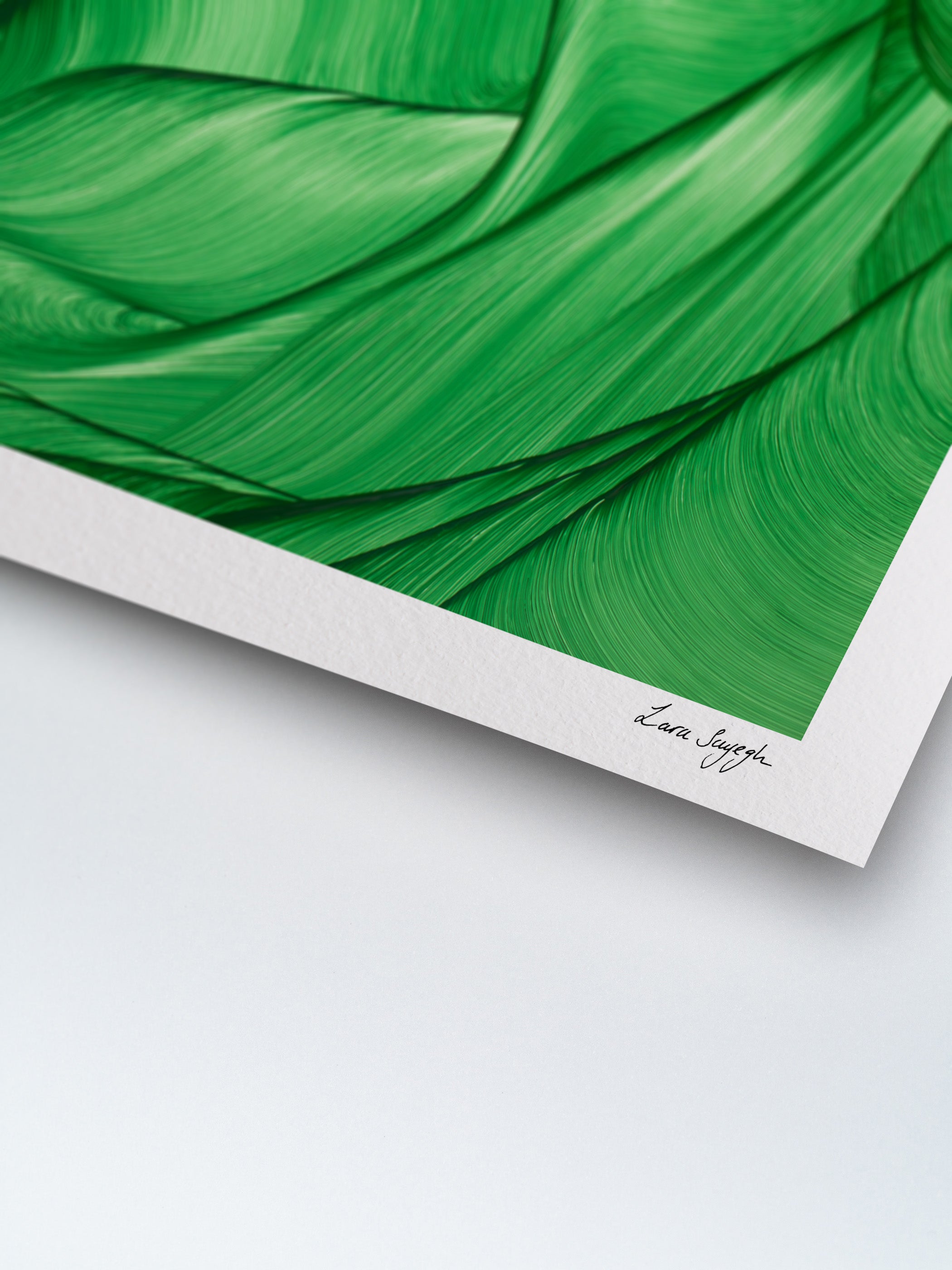 Algae Bloom | Limited Edition Art Print