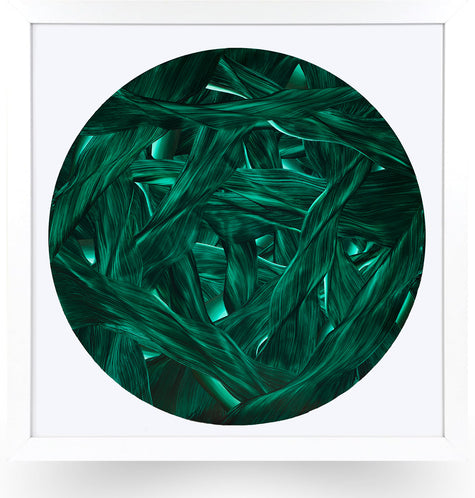 Close-up of green underwater leaves arranged in a circular pattern on a green white frame