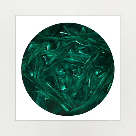 Close-up of green underwater leaves arranged in a circular pattern on a green and black background