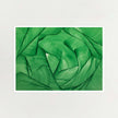 Algae Bloom | Limited Edition Art Print