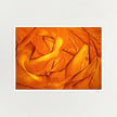 Limited edition abstract art print featuring a swirling, layered pattern of warm orange and yellow tones, presented with a white border on a light background.